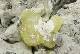 Lemon-Yellow Brucite In Matrix - Balochistan, Pakistan #198564-2